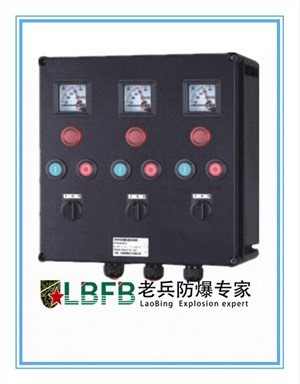 BXK8060-系列防爆防腐控制箱(ⅡC、ExtD)