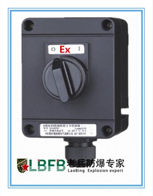 BZM8050-系列防爆防腐照明开关(ⅡC、ExtD)