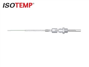 伊索 ISOTEMP ZRK 100-01 平顶式卡锁热电阻