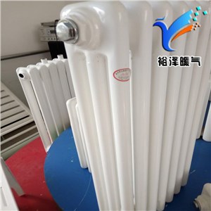 钢制柱型暖气片散热器钢三柱QFBGDJ304  2.6