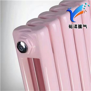 5025鋼二柱暖氣片家用暖氣片鋼制暖氣片散熱器蒸汽專用