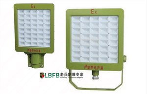 BLT1099-A-免维护高效防爆LED泛光灯