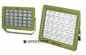 BLT1099-B-免维护高效LED防爆泛光灯