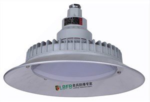 BAD92系列高效节能免维护LED防爆灯(ⅡC、Extd)