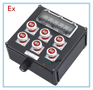 BXX8050-系列防爆防腐检修电源插座箱(ⅡC、ExtD)