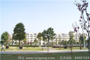 校园风景