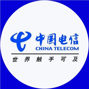 自助服务-中国电信网上营业厅·山东