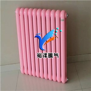 QFBGZ203鋼二柱暖氣片雙柱家用集中供暖低碳鋼散熱器